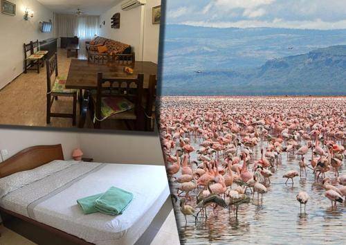 Apartamento Amposta