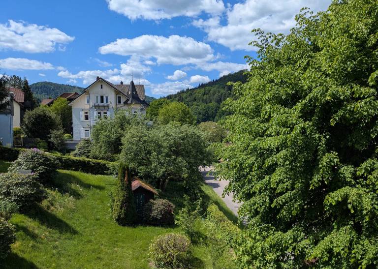foto21