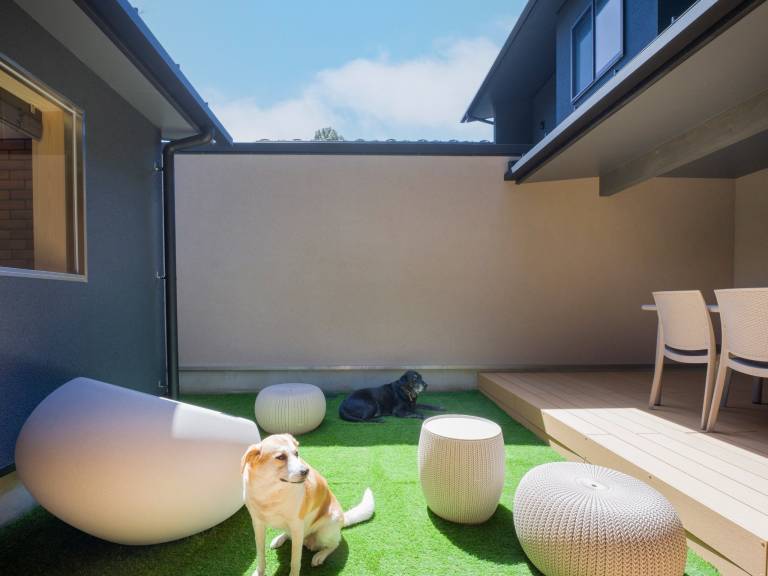 House with barbecue, terrace & sauna — photo 5