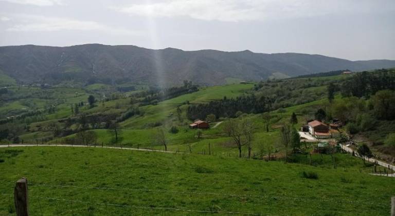 foto41