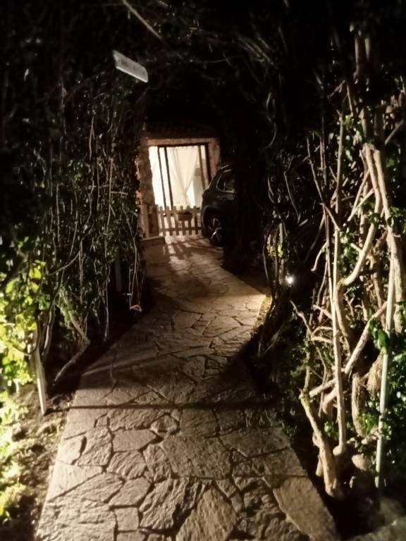 foto11