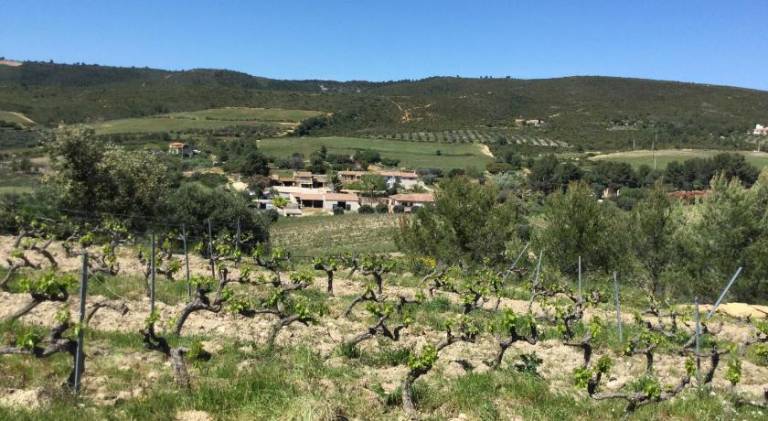 House | Pets allowed in La Cadiere-d'Azur