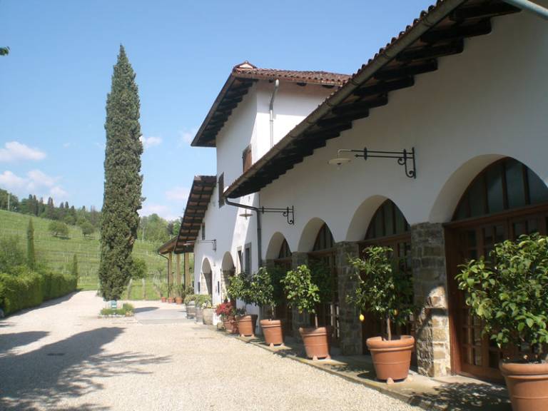 Giorgio Colutta: Verduzzo — photo 2