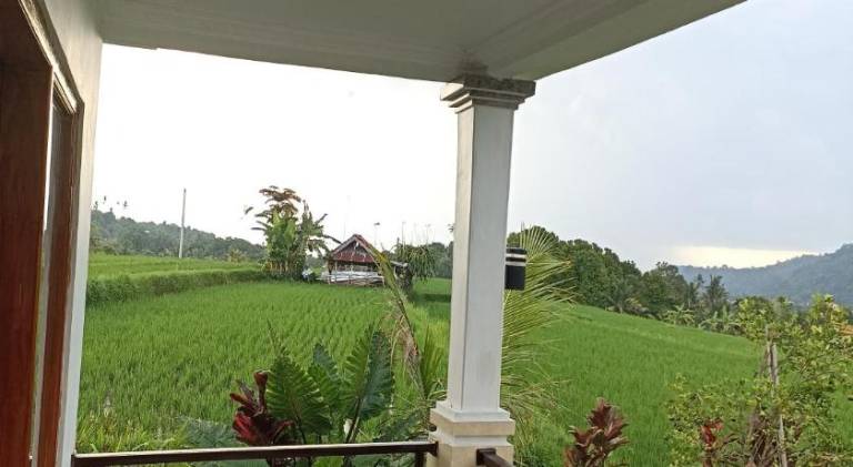 Umaku Bali Homestay — photo 5