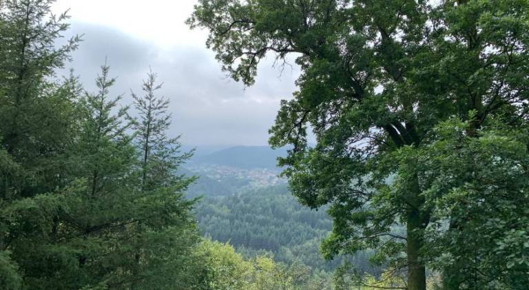 foto22