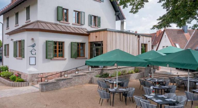 Goldammer Aschaffenburg