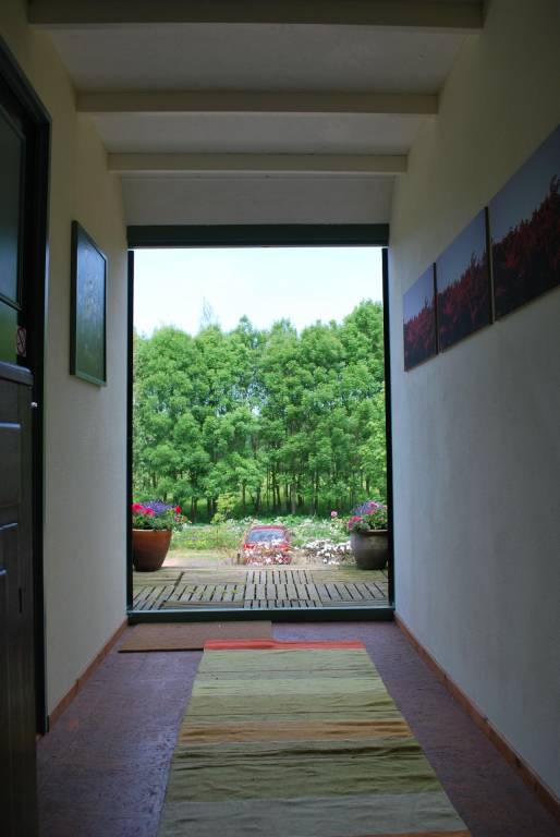 foto11