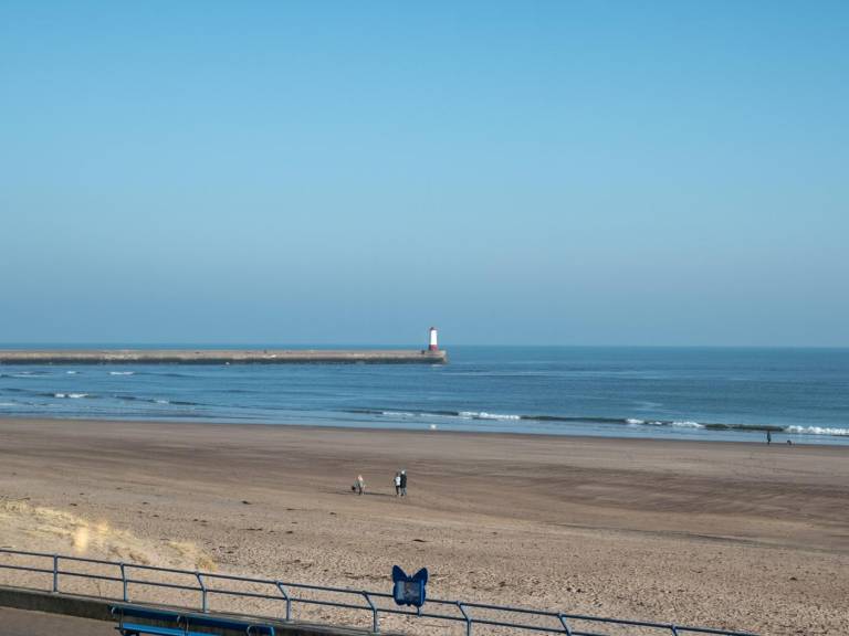 Fully equipped pleasant cottage with yard | Water view | Close to the beach | Pets allowed in Berwick-upon-Tweed