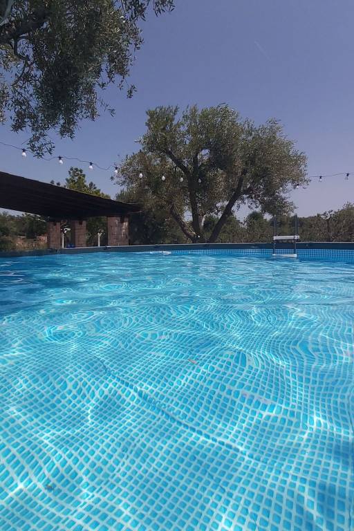 Wonderful holiday apartment with jacuzzi, garden & grill | Nature view | Dogs allowed — photo 4