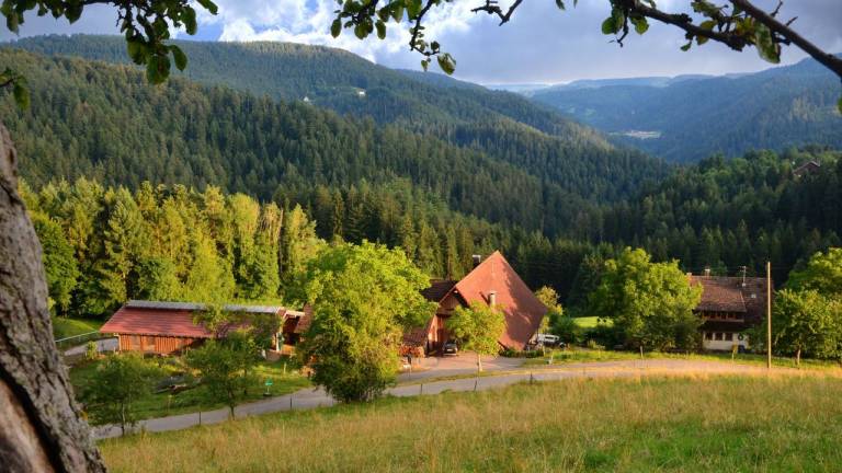 Ferienwohnung Schiltach