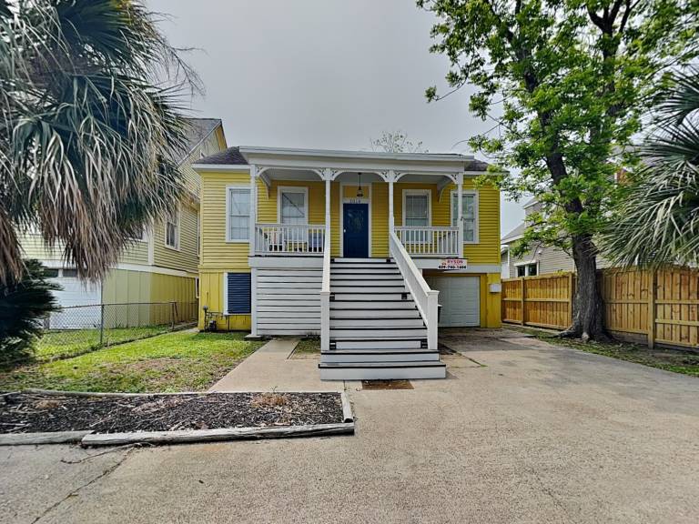 Yellow Belle on Avenue L — photo 3