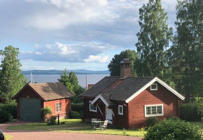 foto1