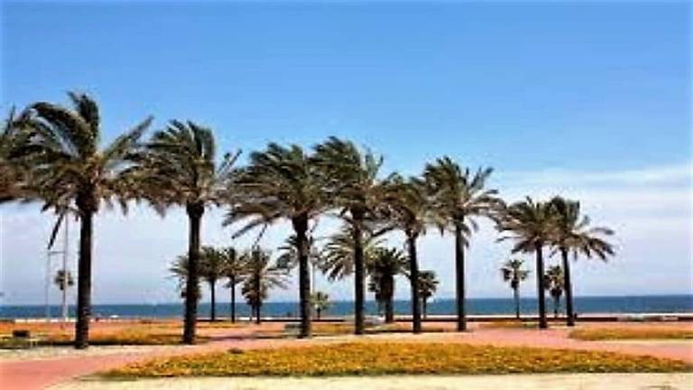 Appartement Badalona