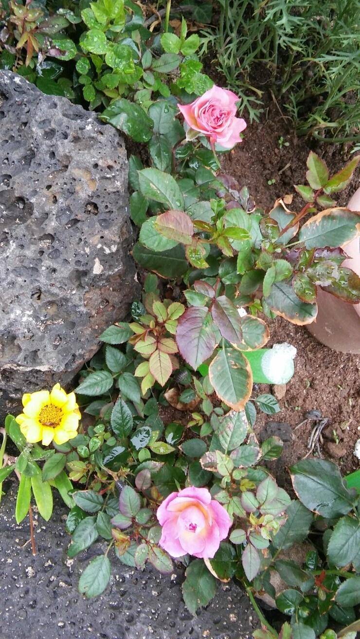 foto30