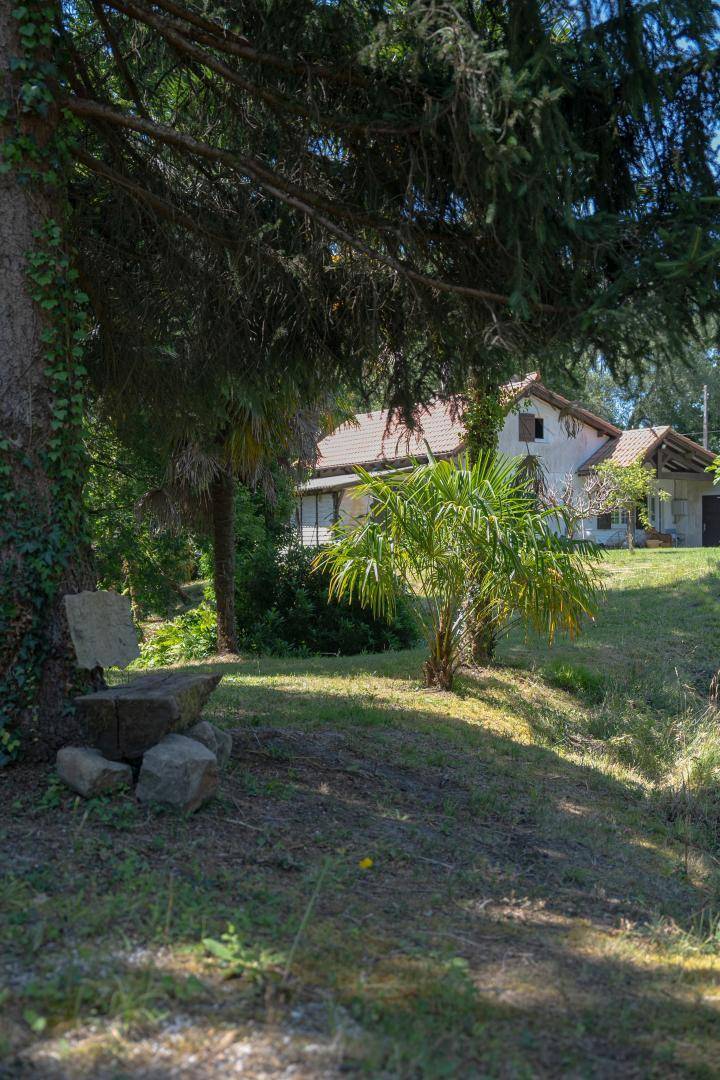 foto16