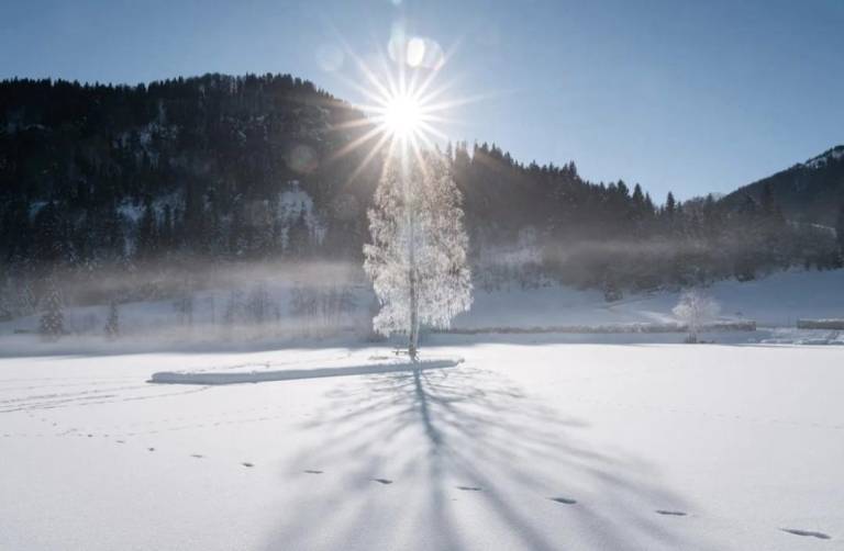 Alpen Flair — photo 4