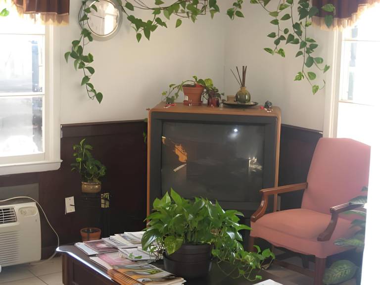 foto34
