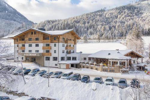 Apartment mit Hotelservice Flachauwinkl