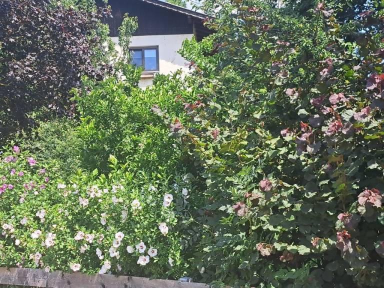 foto10