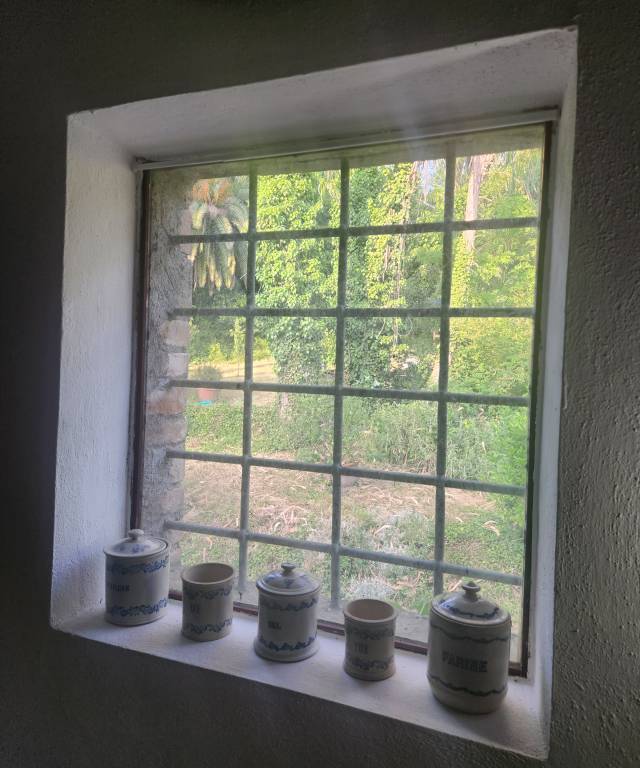 foto11