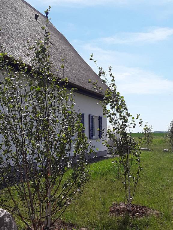 Villa Schaprode