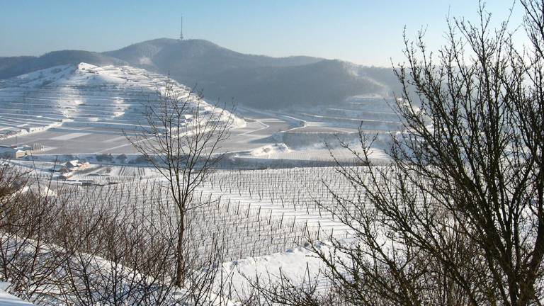 Ferienhaus Endingen am Kaiserstuhl