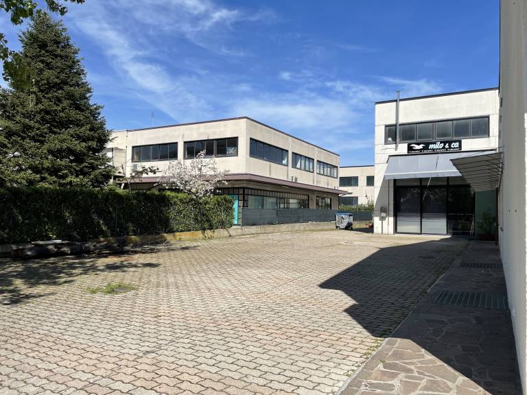 foto19