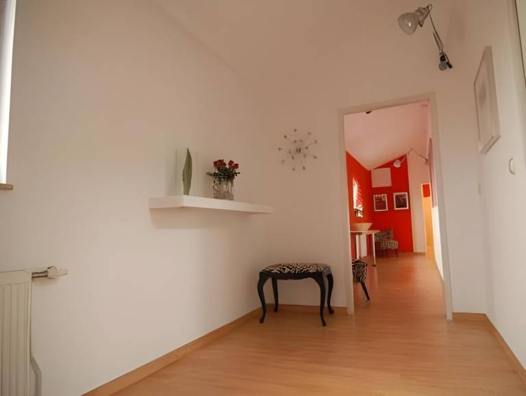 foto11