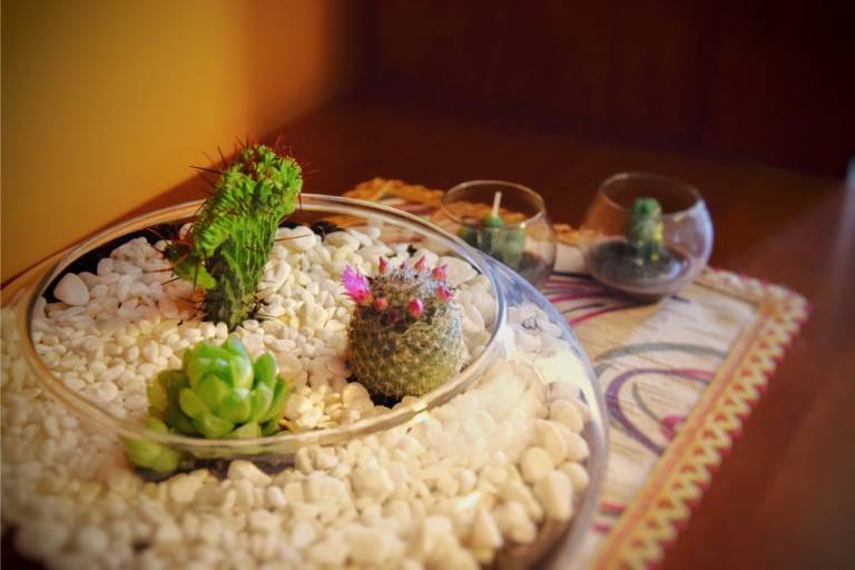 foto23
