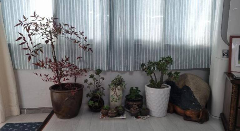foto26