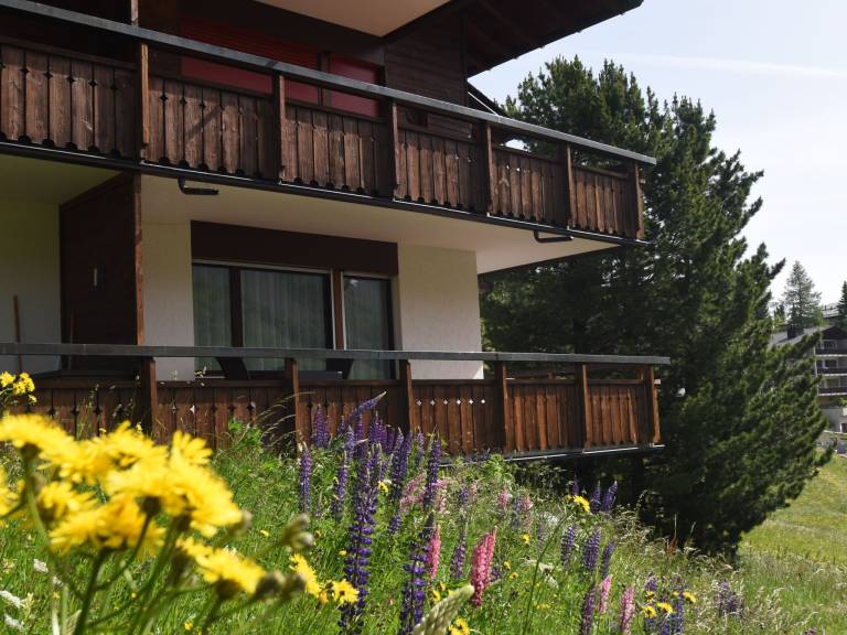Holiday apartment with barbecue — photo 3
