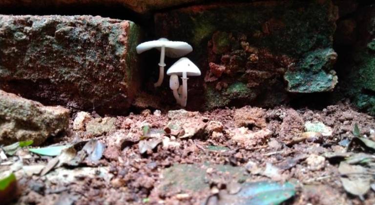 foto48
