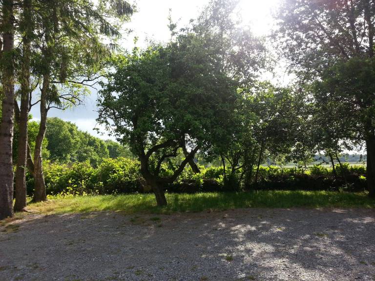 foto12