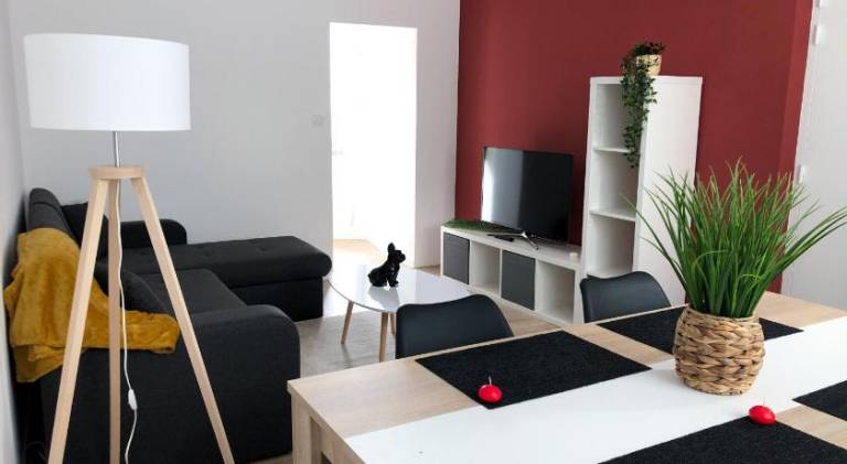 Wonderful apartment | Pets allowed in Saumur