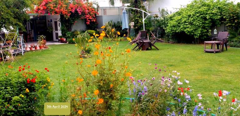 Green Serene Abode