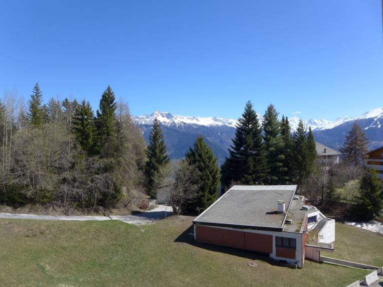foto4