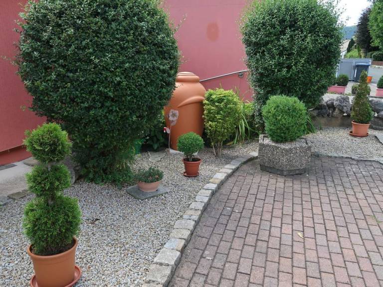 foto34
