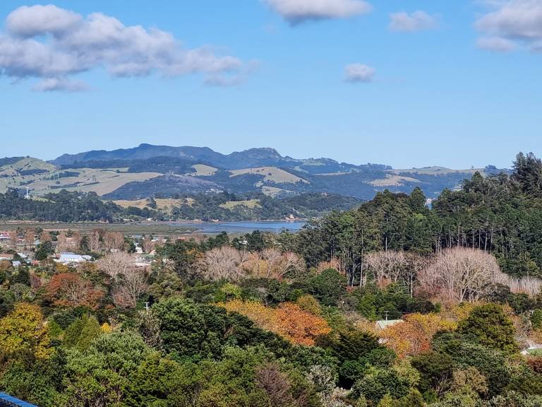 House  Coromandel