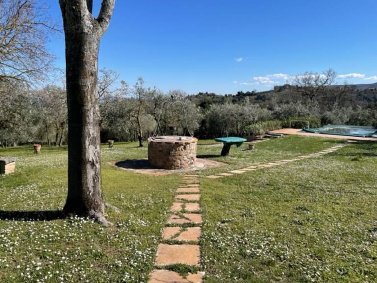 foto9