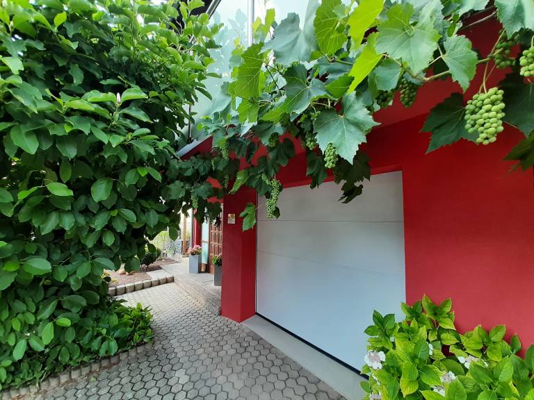 foto27