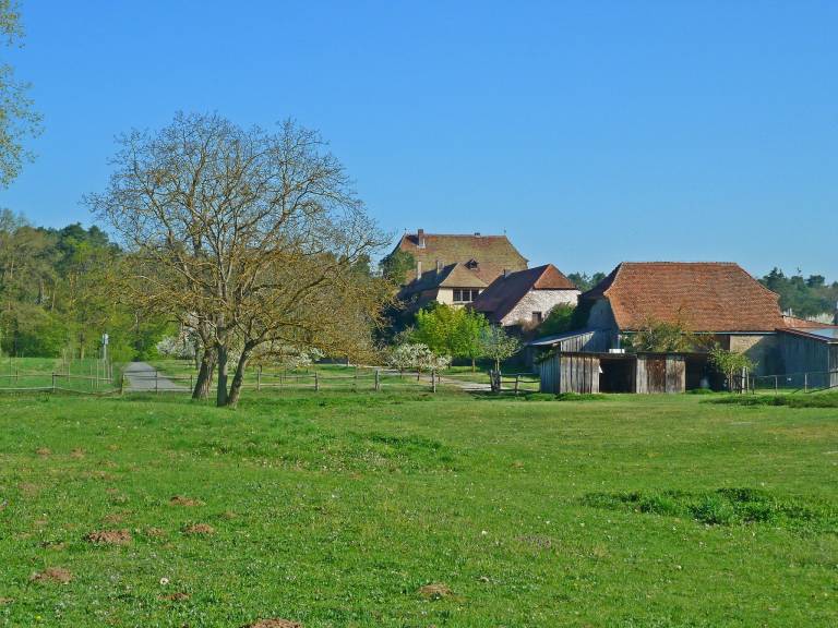foto17