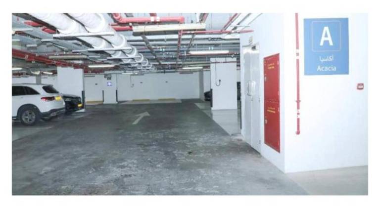 foto12
