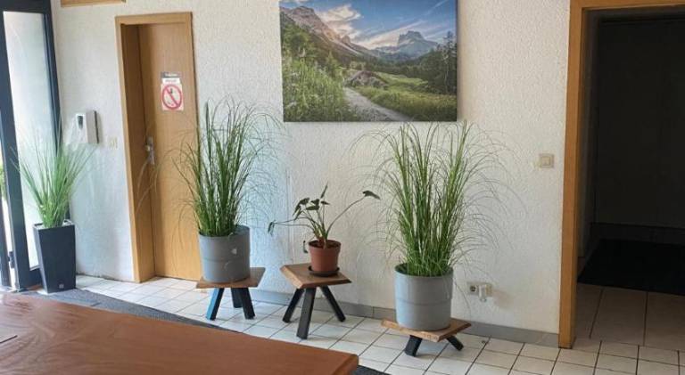 Pension am Main Ruhige Lage Zimmer mit eigenem Bad — photo 4