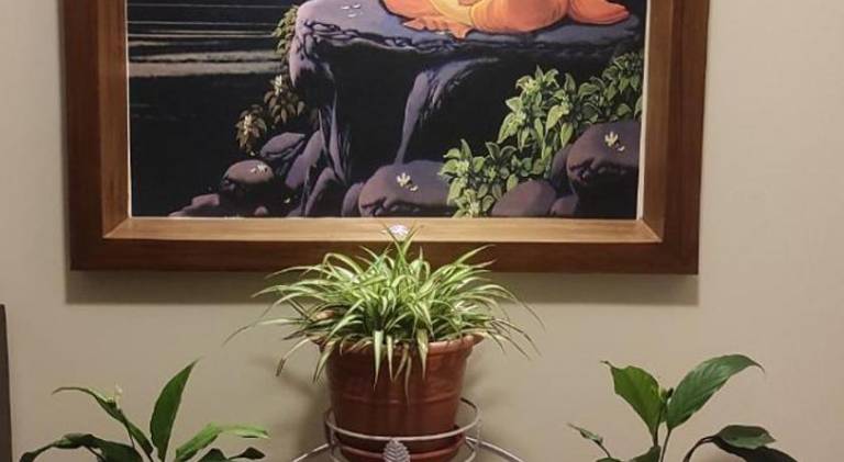 foto41