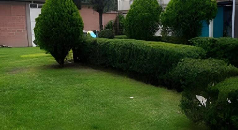 foto19