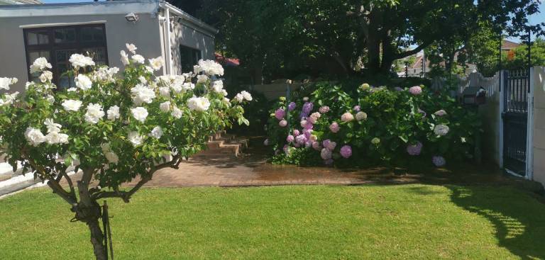 Joy s Place Willy s Cottage 2 Betten