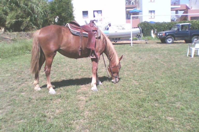 foto16