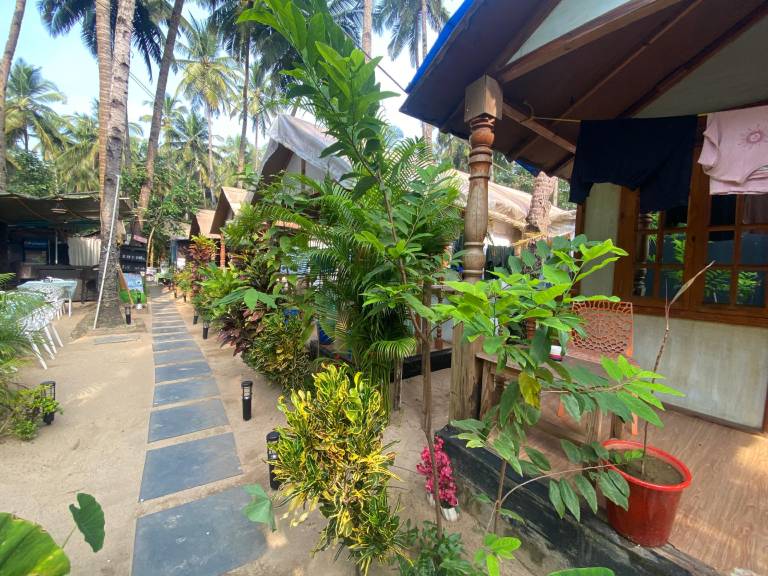 Tropical Bay — photo 2