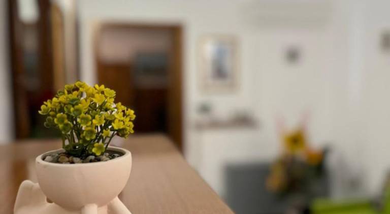 Apartment with 1 room for 3 persons in Ugento