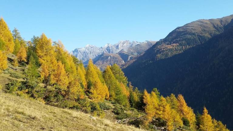 foto11